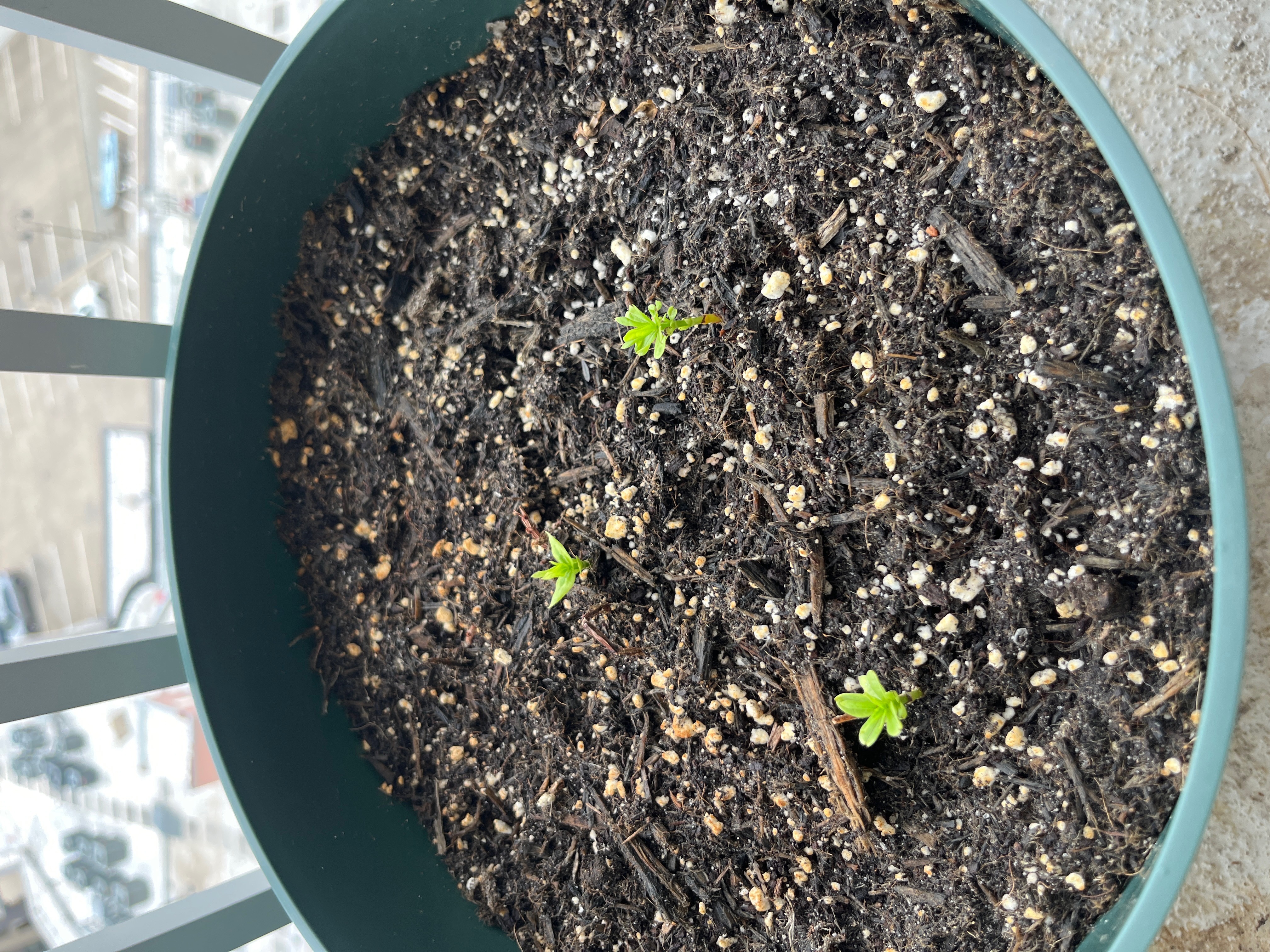 Welcome to Rhianna's Fiber Arts